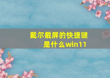 戴尔截屏的快捷键是什么win11