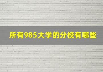 所有985大学的分校有哪些