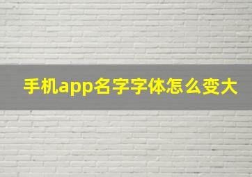 手机app名字字体怎么变大