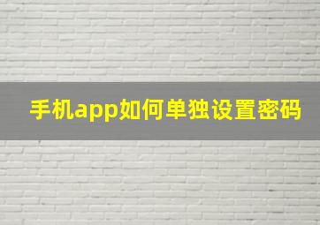 手机app如何单独设置密码