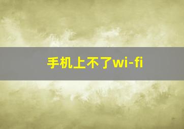 手机上不了wi-fi