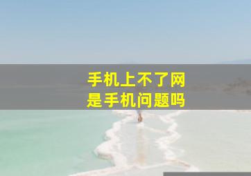 手机上不了网是手机问题吗