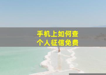 手机上如何查个人征信免费