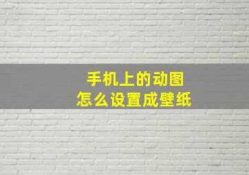 手机上的动图怎么设置成壁纸