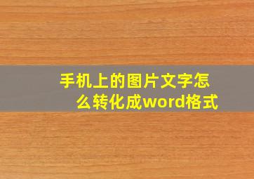 手机上的图片文字怎么转化成word格式