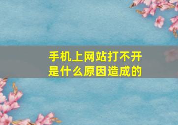 手机上网站打不开是什么原因造成的