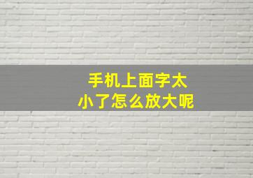 手机上面字太小了怎么放大呢