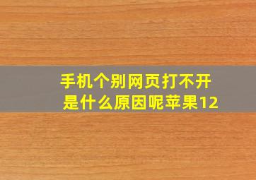 手机个别网页打不开是什么原因呢苹果12