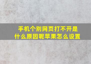 手机个别网页打不开是什么原因呢苹果怎么设置