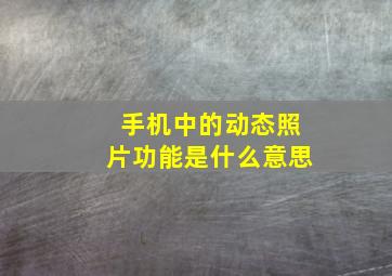 手机中的动态照片功能是什么意思