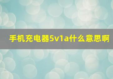 手机充电器5v1a什么意思啊