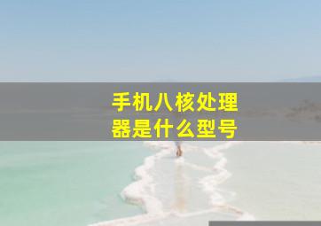 手机八核处理器是什么型号