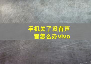 手机关了没有声音怎么办vivo