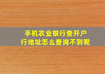 手机农业银行查开户行地址怎么查询不到呢