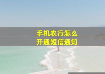 手机农行怎么开通短信通知