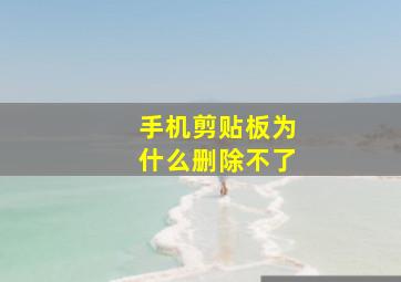 手机剪贴板为什么删除不了