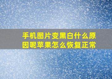 手机图片变黑白什么原因呢苹果怎么恢复正常