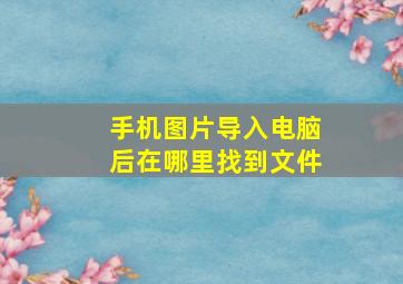 手机图片导入电脑后在哪里找到文件