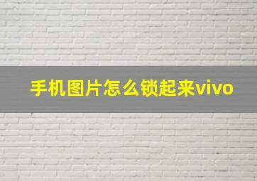 手机图片怎么锁起来vivo