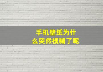 手机壁纸为什么突然模糊了呢