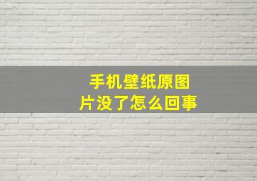 手机壁纸原图片没了怎么回事