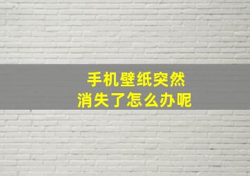 手机壁纸突然消失了怎么办呢