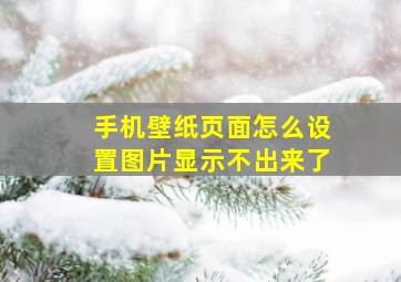 手机壁纸页面怎么设置图片显示不出来了