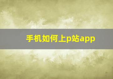 手机如何上p站app