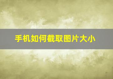 手机如何截取图片大小