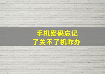 手机密码忘记了关不了机咋办