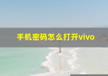 手机密码怎么打开vivo