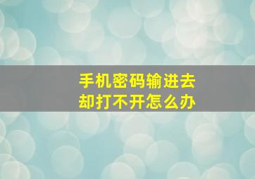 手机密码输进去却打不开怎么办