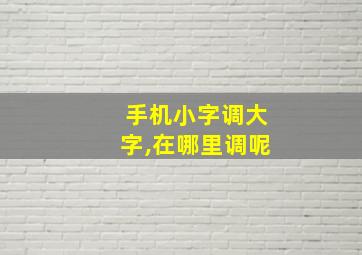 手机小字调大字,在哪里调呢