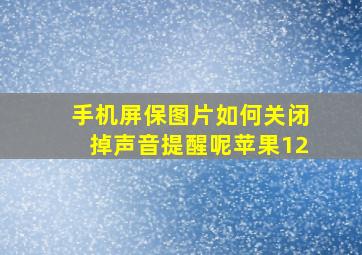 手机屏保图片如何关闭掉声音提醒呢苹果12