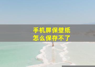 手机屏保壁纸怎么保存不了