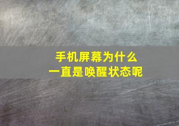 手机屏幕为什么一直是唤醒状态呢