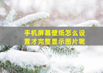 手机屏幕壁纸怎么设置才完整显示图片呢