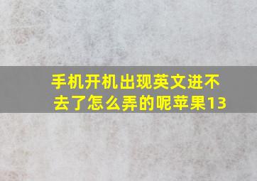 手机开机出现英文进不去了怎么弄的呢苹果13