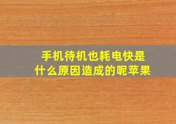 手机待机也耗电快是什么原因造成的呢苹果