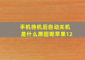 手机待机后自动关机是什么原因呢苹果12