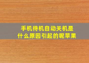 手机待机自动关机是什么原因引起的呢苹果