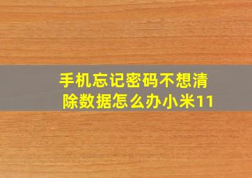 手机忘记密码不想清除数据怎么办小米11