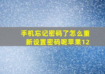 手机忘记密码了怎么重新设置密码呢苹果12