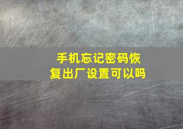 手机忘记密码恢复出厂设置可以吗