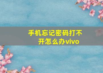 手机忘记密码打不开怎么办vivo