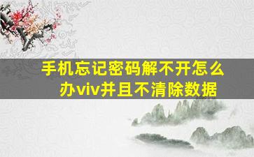 手机忘记密码解不开怎么办viv并且不清除数据