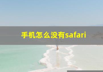 手机怎么没有safari