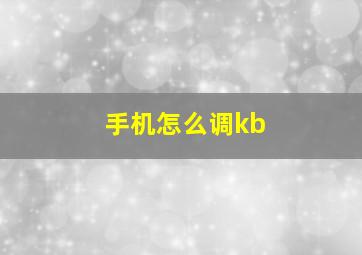 手机怎么调kb