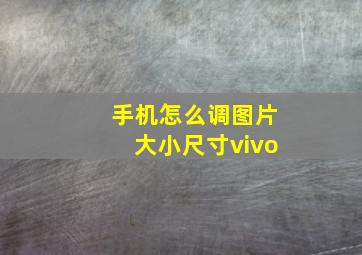 手机怎么调图片大小尺寸vivo