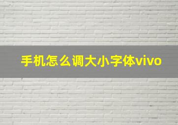 手机怎么调大小字体vivo